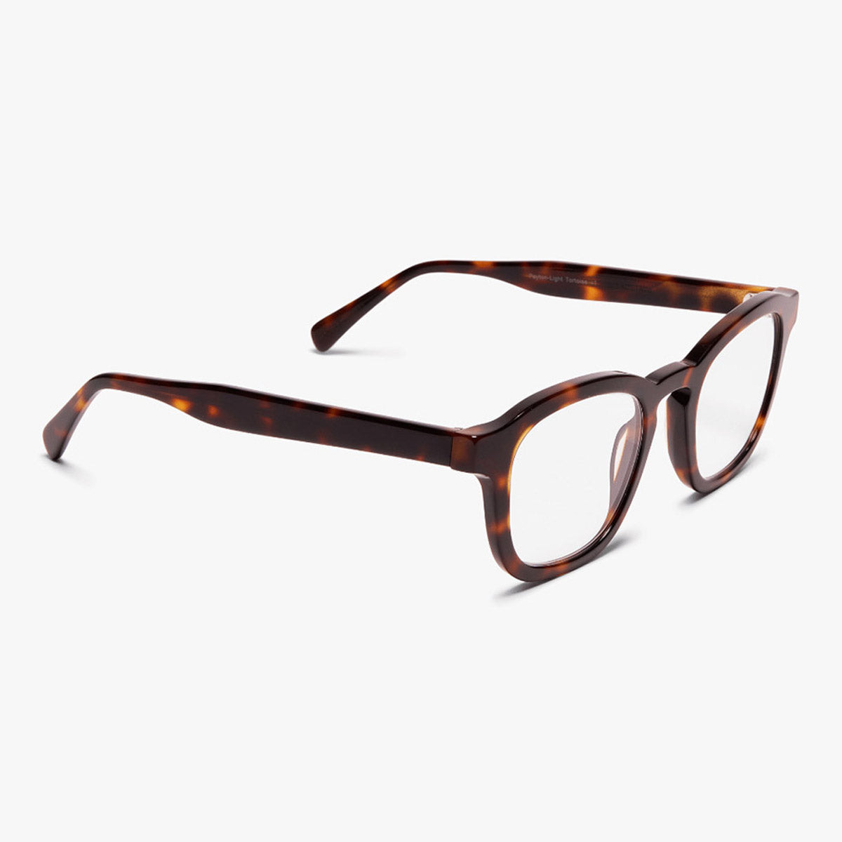 Men's Reykjavik Light Turtle tortoiseshell square glasses