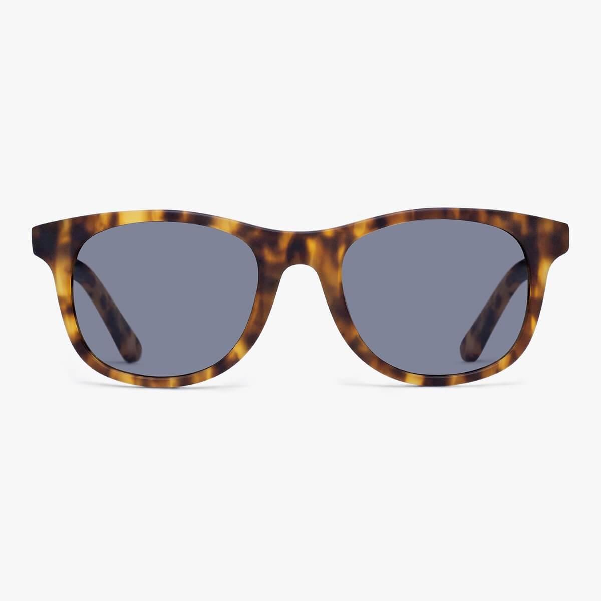 Women's Malmö Light Turtle sunglasses in tortoiseshell pattern